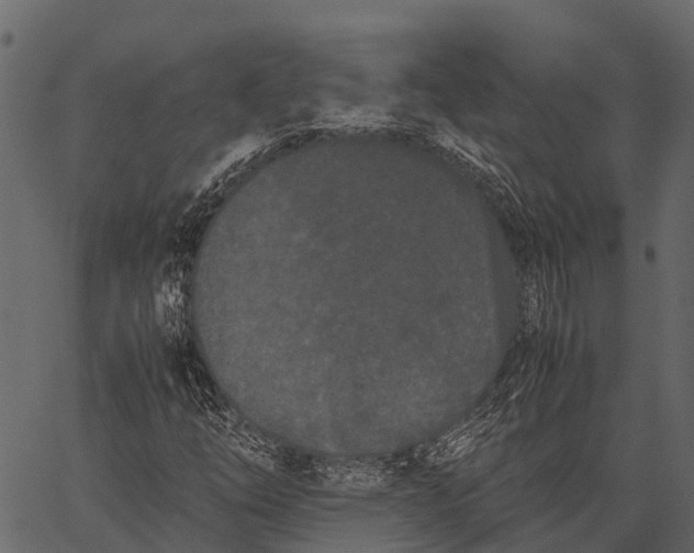 X0000062631254200601111051