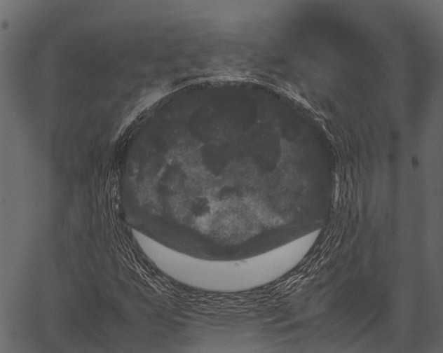 X0000062631255200601111051