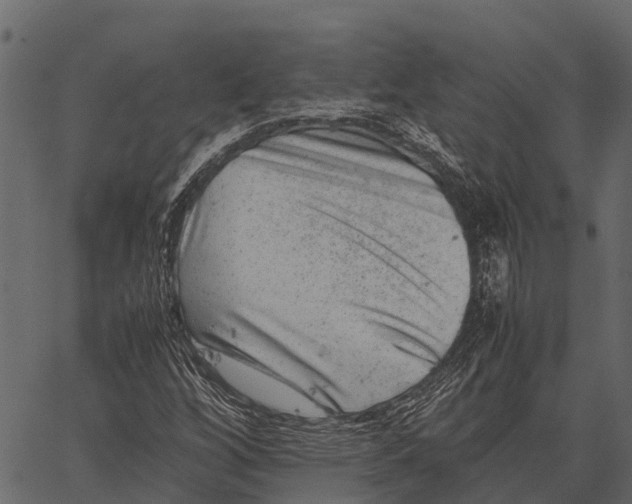 X0000062631256200601111051