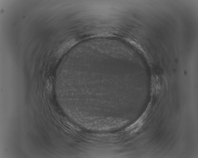 X0000062631257200601111051