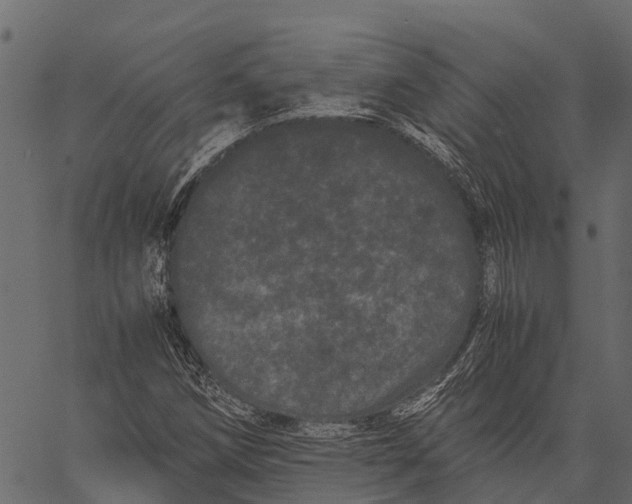 X0000062631258200601111051