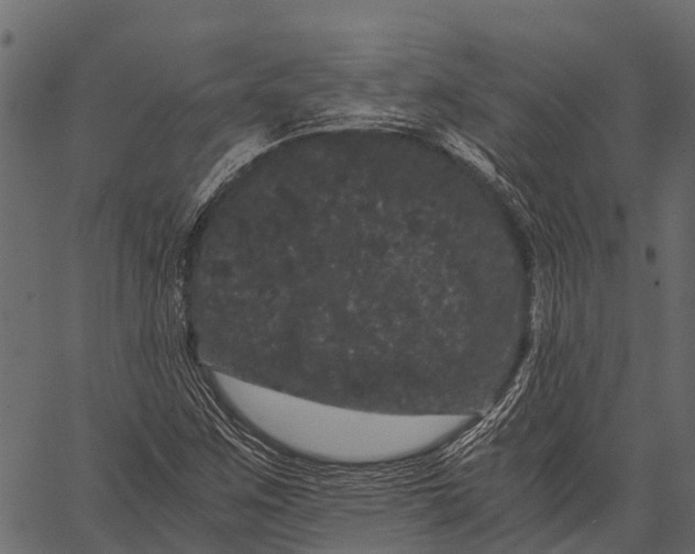 X0000062631259200601111051