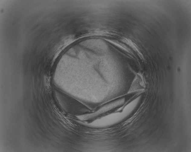 X0000062631260200601111051