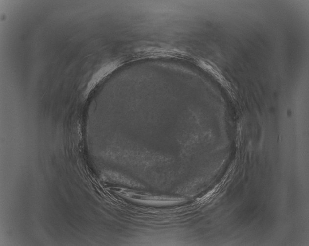 X0000062631261200601111051