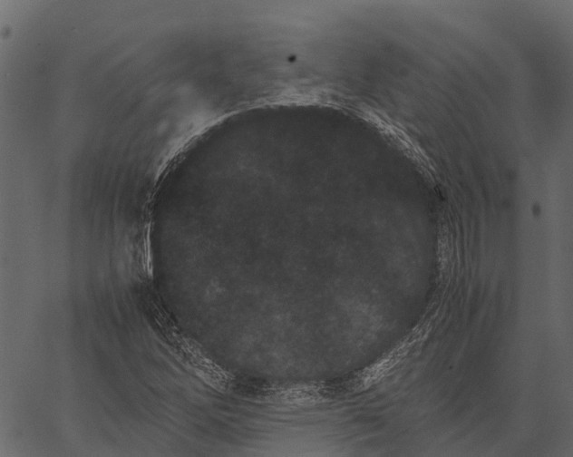 X0000062631262200601111051