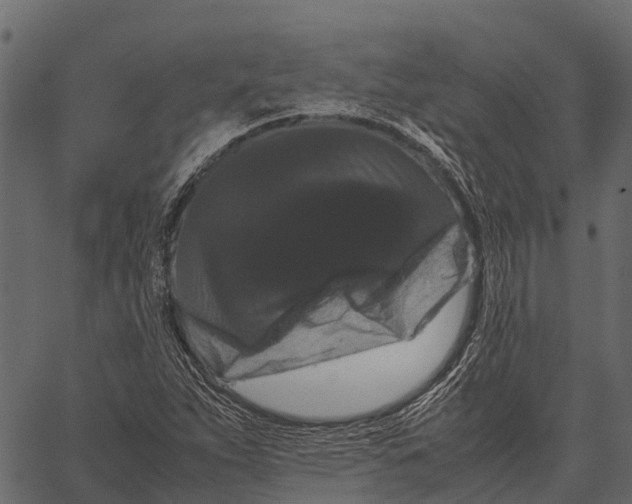 X0000062631263200601111051