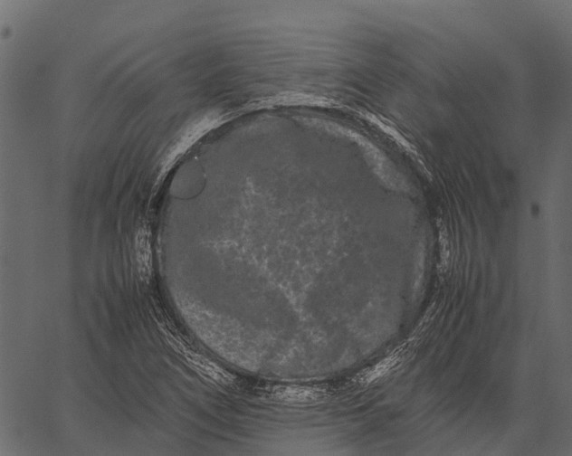 X0000062631266200601111051