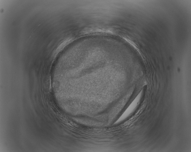 X0000062631267200601111051