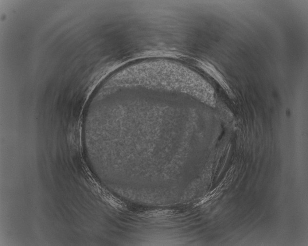 X0000062631268200601111051