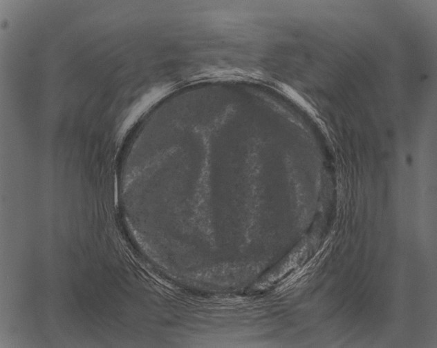 X0000062631269200601111051