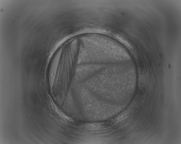 X0000062631272200601111051