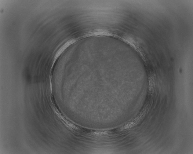 X0000062631274200601111050