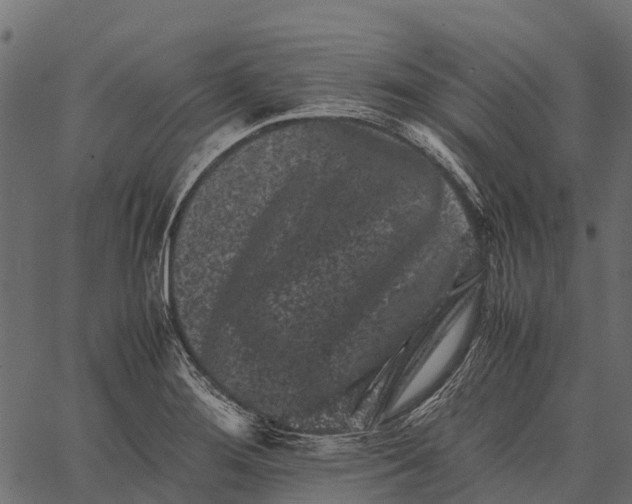 X0000062631276200601111050