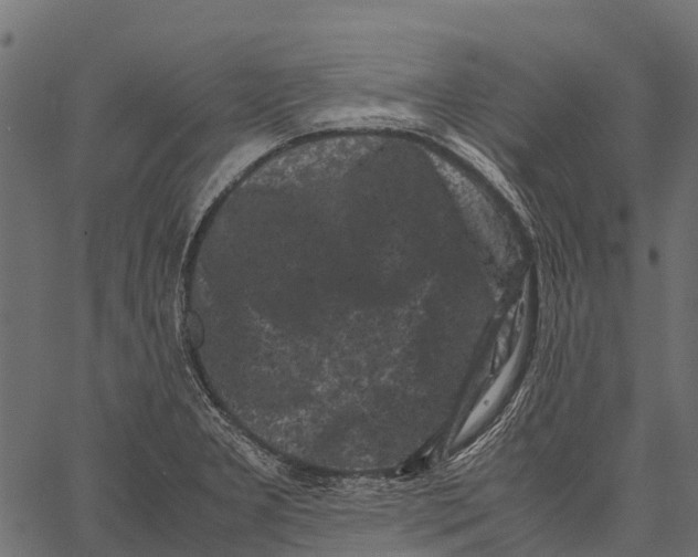 X0000062631277200601111050