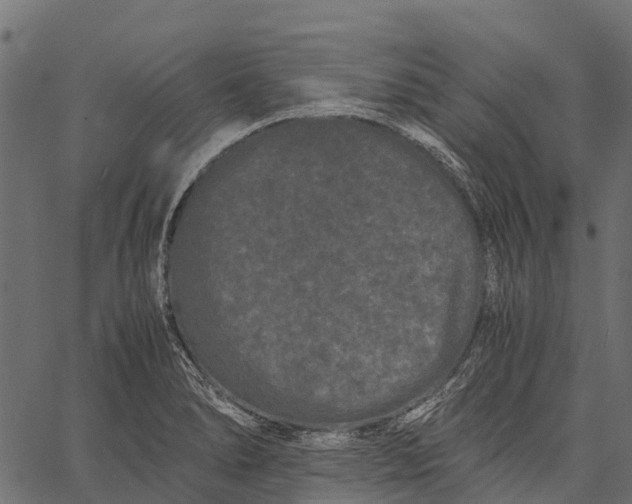 X0000062631278200601111050