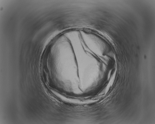 X0000062631279200601111050