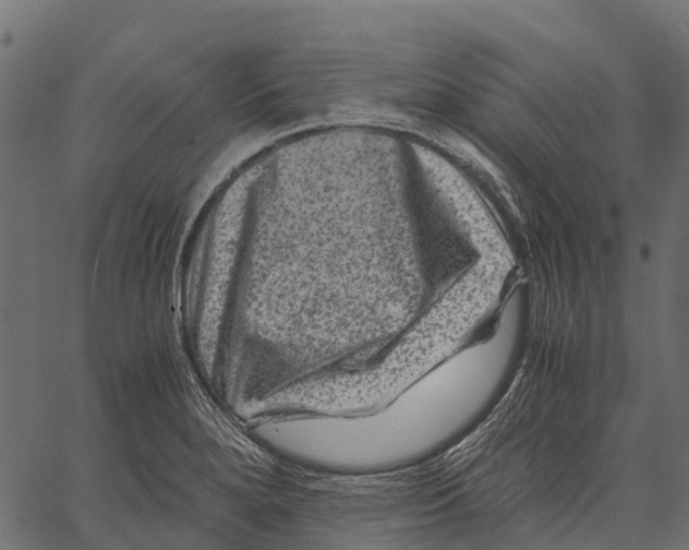 X0000062631280200601111050