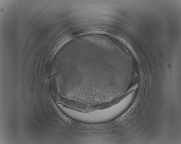 X0000062631281200601111050