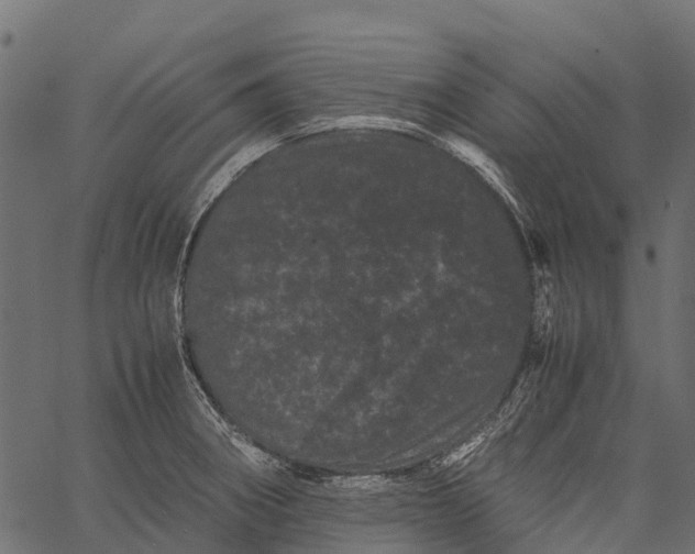 X0000062631282200601111050