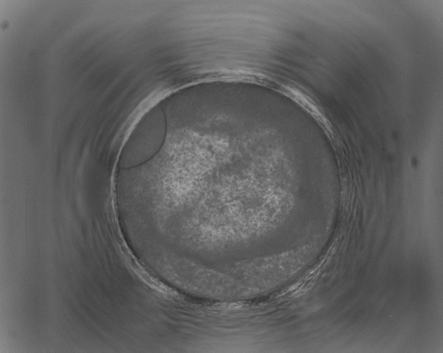 X0000062631283200601111050