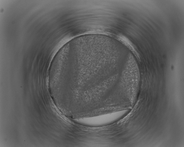 X0000062631284200601111050