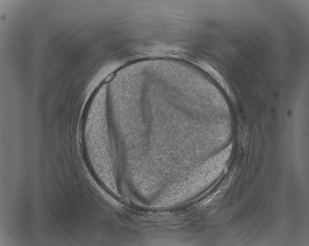 X0000062631285200601111050