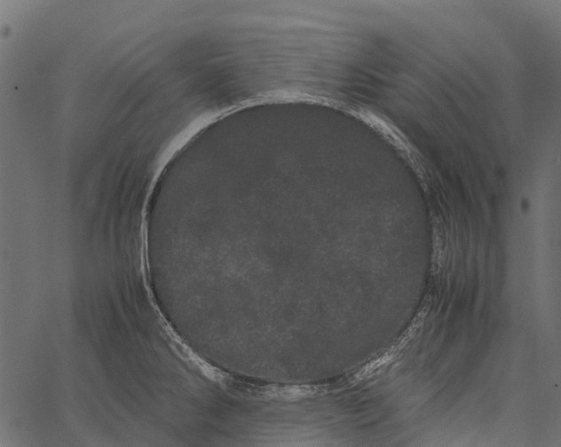 X0000062631286200601111050