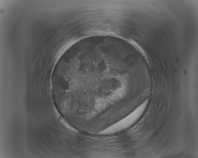 X0000062631287200601111050