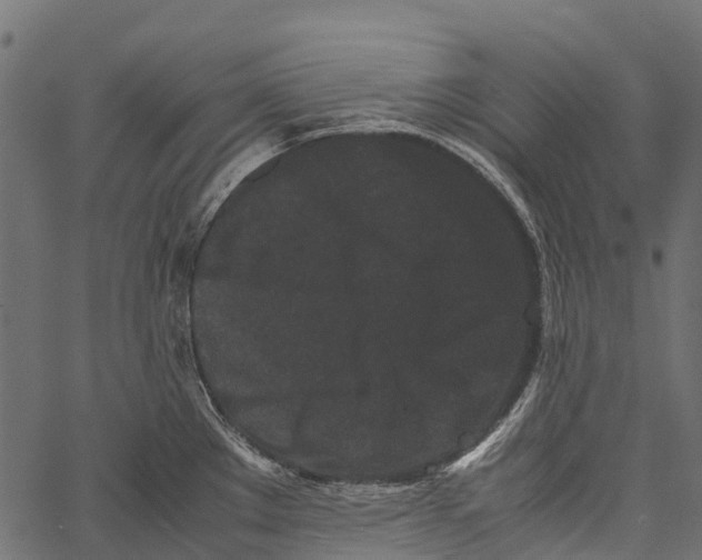 X0000062631289200601111050