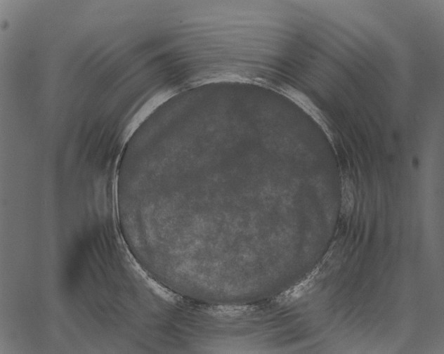 X0000062631290200601111050