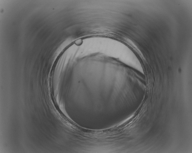 X0000062631291200601111050