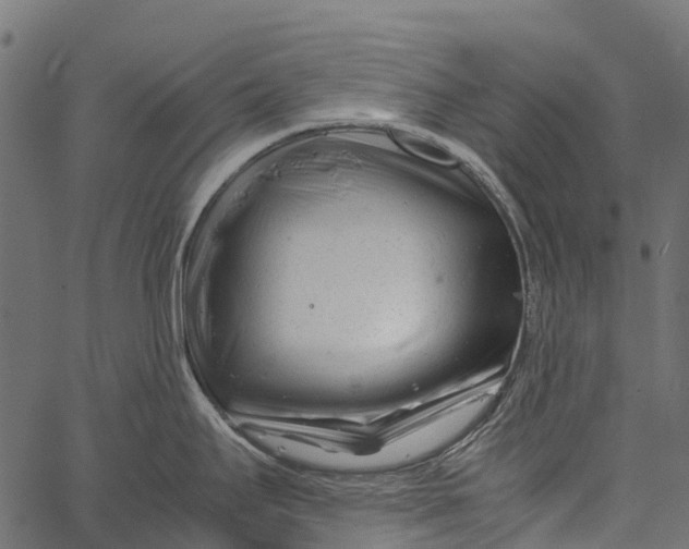 X0000062631295200601111050