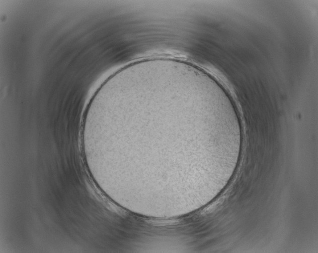 X0000062631296200601111050