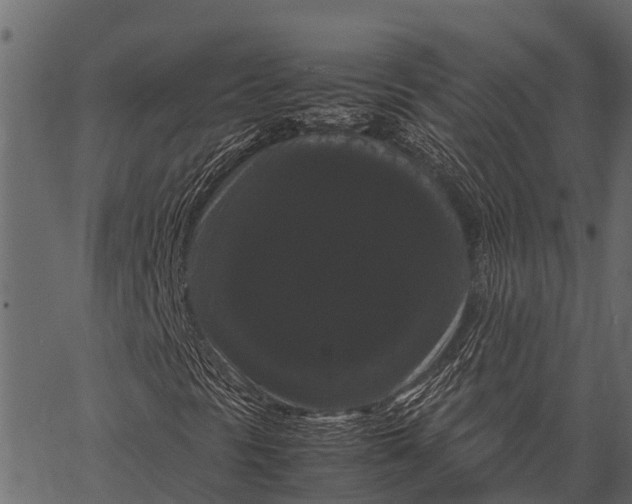 X0000062631297200601111049