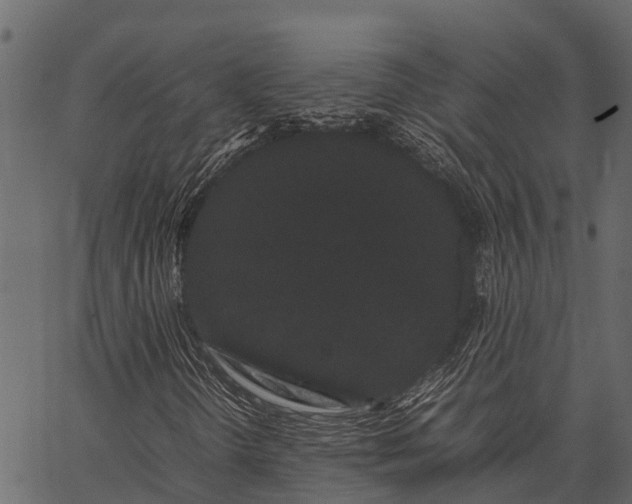 X0000062631298200601111049