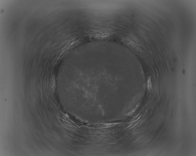 X0000062631299200601111049