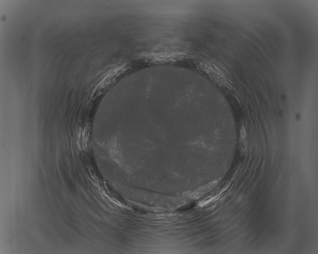 X0000062631300200601111049