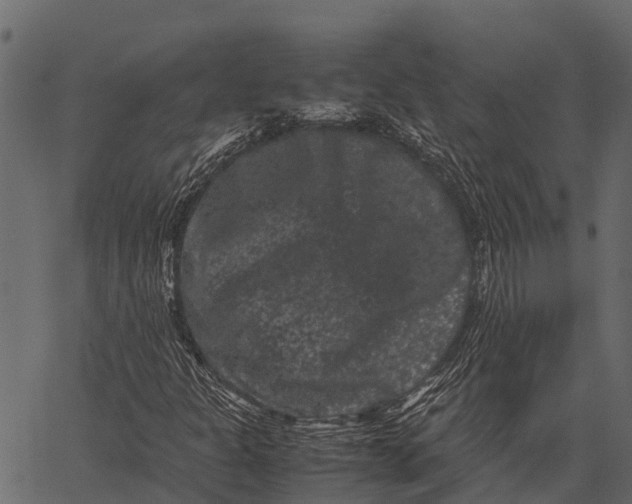 X0000062631301200601111049