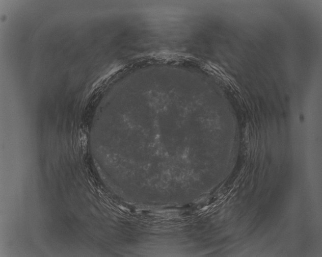 X0000062631302200601111049