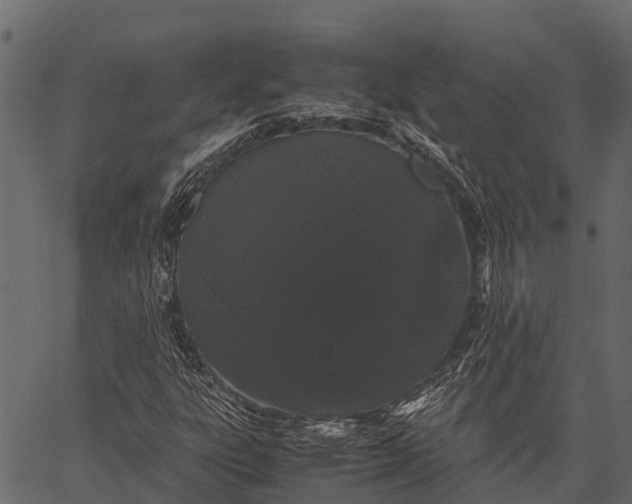 X0000062631303200601111049