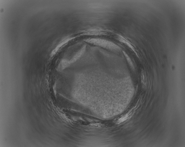 X0000062631304200601111049