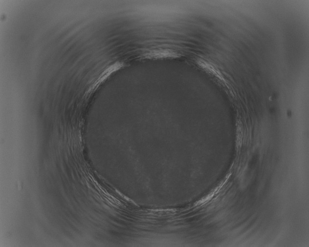 X0000062631305200601111049