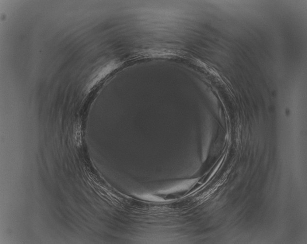 X0000062631306200601111049