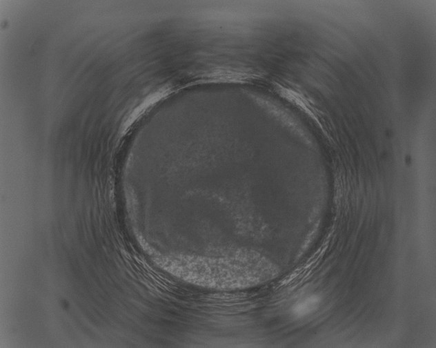 X0000062631307200601111049