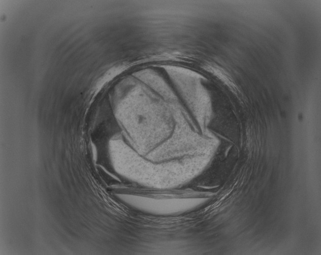 X0000062631308200601111049