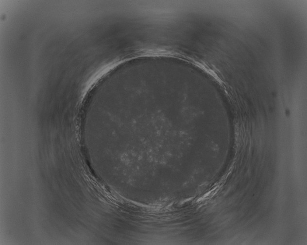 X0000062631311200601111050