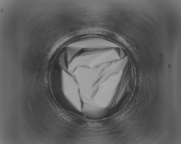 X0000062631312200601111050