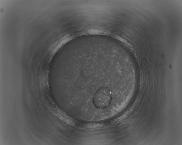 X0000062631314200601111050