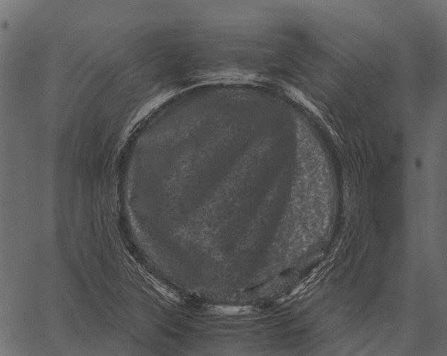 X0000062631315200601111050