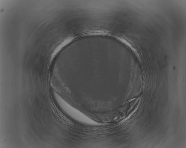 X0000062631317200601111050